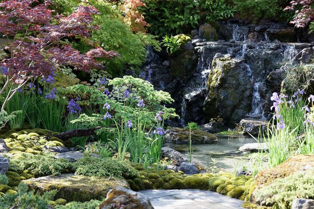 Le jardin japonais trouve facilement sa place sous nos latitudes, répondant à l'adéquation de la localisation et du style.